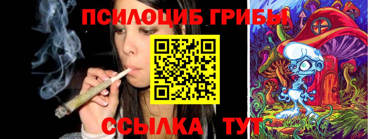 Ессентуки  Псилоцибиновые грибы Psilocybe  Вход с VPN 